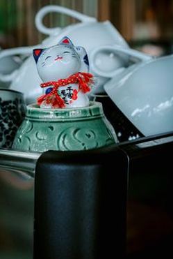 hợp pháp Debet